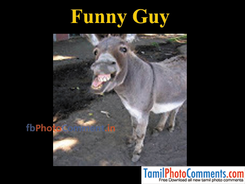 funny-guy | animal | Tamil | Tamil Photo Comments Free Download | Tamil  Photo Comments collections
